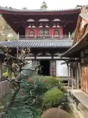 龍潭寺の庭園