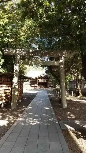 田縣神社の鳥居