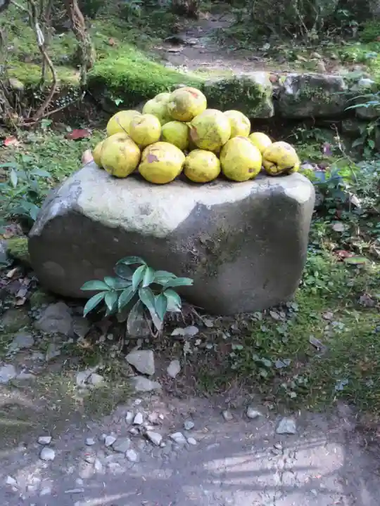高山寺(京都府)