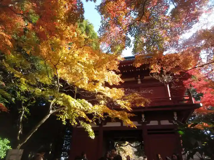 本土寺(千葉県)