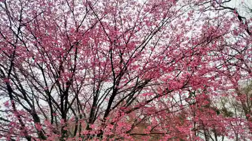 密藏院(埼玉県)