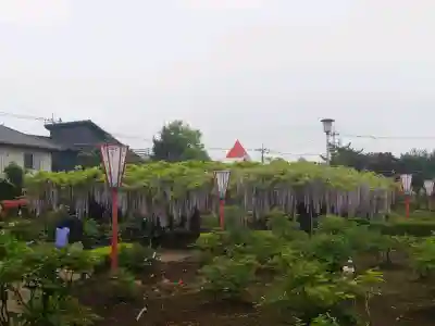 箭弓稲荷神社の{uncategorized: "未分類", other: "その他", undefined: "問題あり", building: "その他建物", grave: "お墓", sacred_gate: "鳥居", guardian: "狛犬", statue: "像", buddha: "仏像", history: "歴史", nature: "自然", garden: "庭園", animal: "動物", pagoda: "塔", temizu: "手水舎", mountain_gate: "山門・神門", sanctuary: "本殿・本堂", subordinate: "末社・摂社", art: "芸術", scenery: "景色", jizo: "地蔵", ema: "絵馬", goshuin: "御朱印", omikuji: "おみくじ", items: "授与品その他", amulet: "お守り", goshuincho: "御朱印帳", eats: "食事", festival: "お祭り", votive_dance: "神楽", shichigosan: "七五三参", wedding: "結婚式", experience: "体験その他", initially: "初詣", around: "周辺", anti_infection: "感染症対策"}