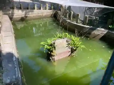 海南神社(神奈川県)
