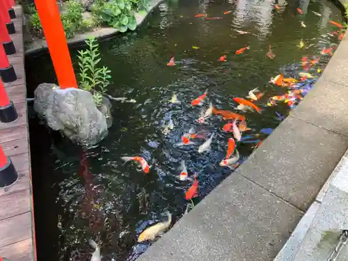 相模国総社六所神社(神奈川県)