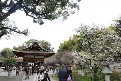 平野神社(京都府)