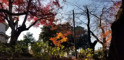 本土寺(千葉県)