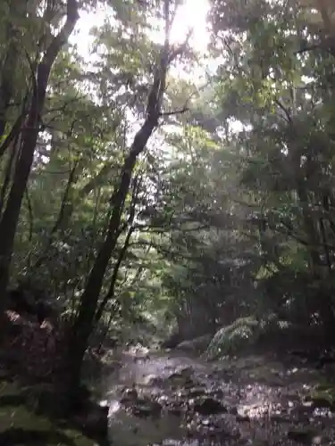 瀧原宮(皇大神宮別宮)の自然