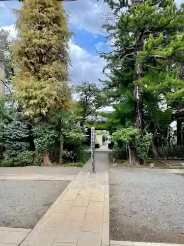 玉泉寺(東京都)