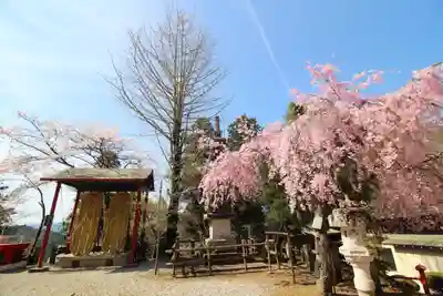 天龍寺(埼玉県)