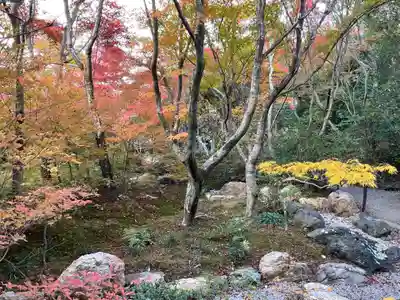 宝筐院(京都府)