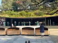 太宰府天満宮(福岡県)