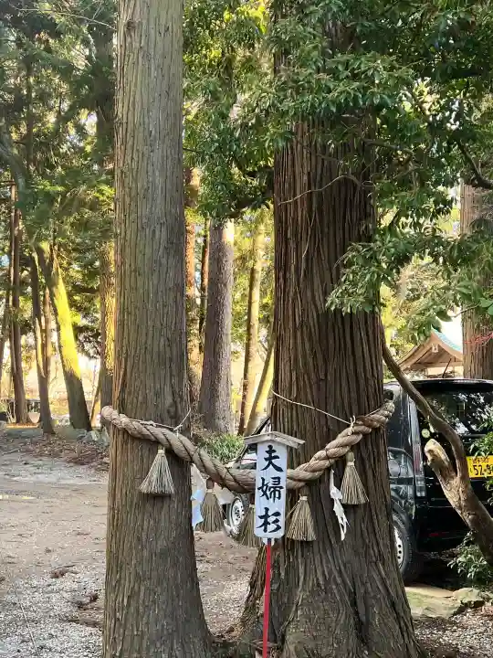 駒形神社の{uncategorized: "未分類", other: "その他", undefined: "問題あり", building: "その他建物", grave: "お墓", sacred_gate: "鳥居", guardian: "狛犬", statue: "像", buddha: "仏像", history: "歴史", nature: "自然", garden: "庭園", animal: "動物", pagoda: "塔", temizu: "手水舎", mountain_gate: "山門・神門", sanctuary: "本殿・本堂", subordinate: "末社・摂社", art: "芸術", scenery: "景色", jizo: "地蔵", ema: "絵馬", goshuin: "御朱印", omikuji: "おみくじ", items: "授与品その他", amulet: "お守り", goshuincho: "御朱印帳", eats: "食事", festival: "お祭り", votive_dance: "神楽", shichigosan: "七五三参", wedding: "結婚式", experience: "体験その他", initially: "初詣", around: "周辺", anti_infection: "感染症対策"}