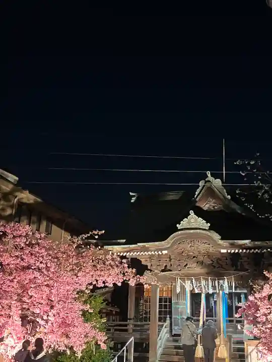 桜神宮(東京都)