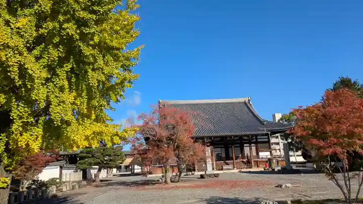 妙覺寺(妙覚寺)(京都府)