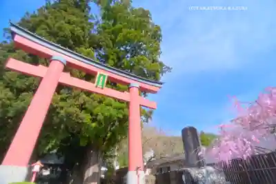 河口浅間神社(山梨県)