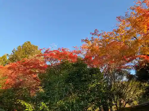 霊鑑寺門跡(京都府)