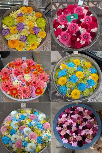 成田山深川不動堂（新勝寺東京別院）(東京都)