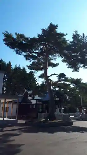 厚真神社のその他建物