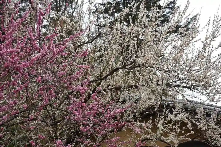 川勾神社の自然