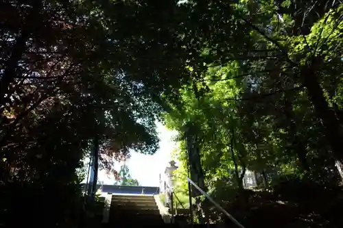 滑川神社 - 仕事と子どもの守り神の景色