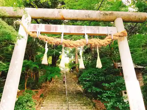 龍尾神社の鳥居