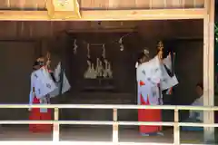 鹿島大神宮の神楽