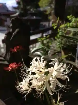 成願寺(東京都)