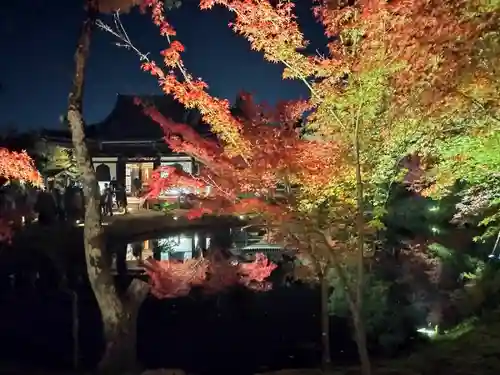 高台寺（高台寿聖禅寺・高臺寺）(京都府)