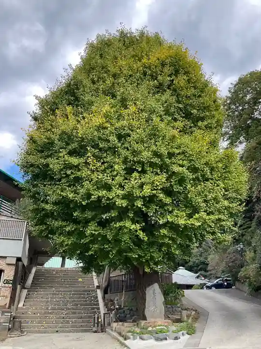 法勝寺(神奈川県)