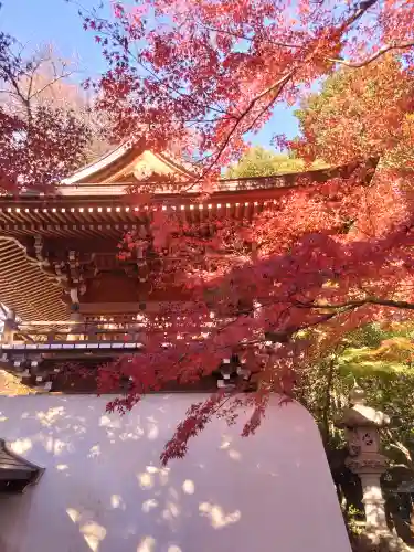 大正寺(東京都)