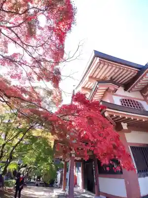 永源寺のその他建物