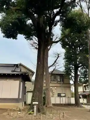 愛宕神社の{uncategorized: "未分類", other: "その他", undefined: "問題あり", building: "その他建物", grave: "お墓", sacred_gate: "鳥居", guardian: "狛犬", statue: "像", buddha: "仏像", history: "歴史", nature: "自然", garden: "庭園", animal: "動物", pagoda: "塔", temizu: "手水舎", mountain_gate: "山門・神門", sanctuary: "本殿・本堂", subordinate: "末社・摂社", art: "芸術", scenery: "景色", jizo: "地蔵", ema: "絵馬", goshuin: "御朱印", omikuji: "おみくじ", items: "授与品その他", amulet: "お守り", goshuincho: "御朱印帳", eats: "食事", festival: "お祭り", votive_dance: "神楽", shichigosan: "七五三参", wedding: "結婚式", experience: "体験その他", initially: "初詣", around: "周辺", anti_infection: "感染症対策"}