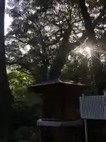 宮水神社の歴史