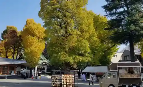 亀有香取神社の体験その他