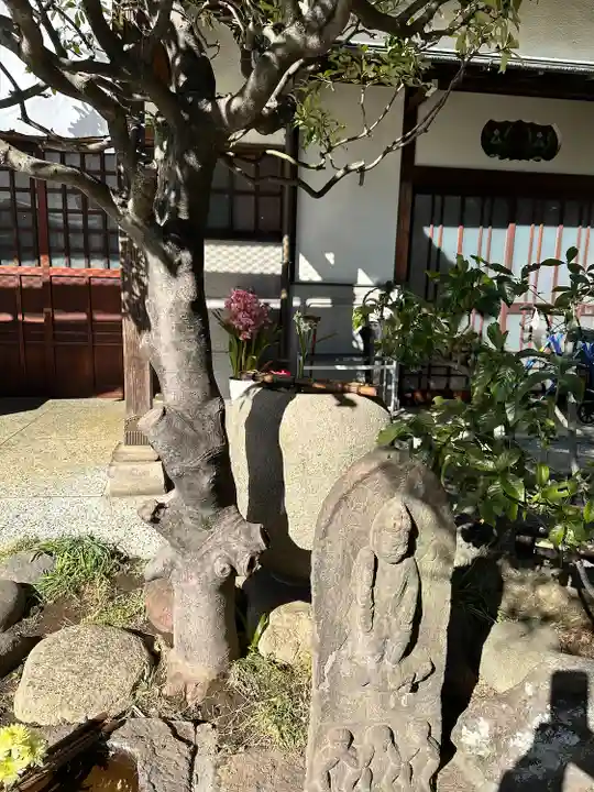 龍泉院(東京都)