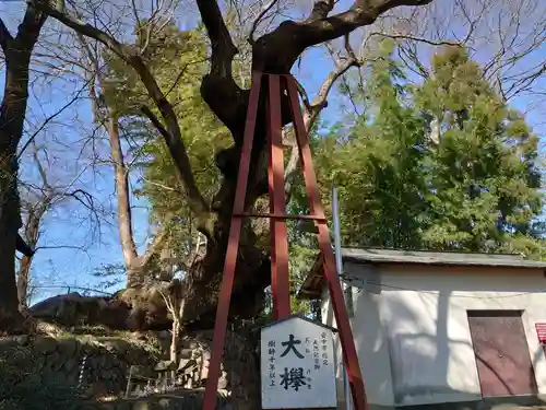 熊野神社の自然