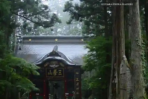 三峯神社(埼玉県)