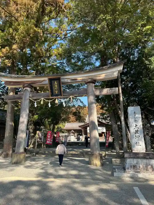 土佐神社の{uncategorized: "未分類", other: "その他", undefined: "問題あり", building: "その他建物", grave: "お墓", sacred_gate: "鳥居", guardian: "狛犬", statue: "像", buddha: "仏像", history: "歴史", nature: "自然", garden: "庭園", animal: "動物", pagoda: "塔", temizu: "手水舎", mountain_gate: "山門・神門", sanctuary: "本殿・本堂", subordinate: "末社・摂社", art: "芸術", scenery: "景色", jizo: "地蔵", ema: "絵馬", goshuin: "御朱印", omikuji: "おみくじ", items: "授与品その他", amulet: "お守り", goshuincho: "御朱印帳", eats: "食事", festival: "お祭り", votive_dance: "神楽", shichigosan: "七五三参", wedding: "結婚式", experience: "体験その他", initially: "初詣", around: "周辺", anti_infection: "感染症対策"}