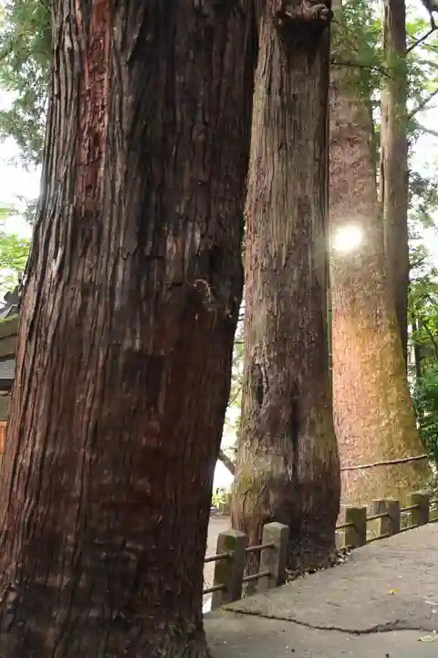 天祖神社(大分県)