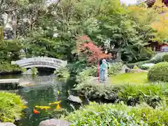 温泉山 安楽寺(四国霊場第六番札所)の庭園