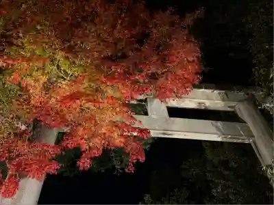 秩父神社の鳥居