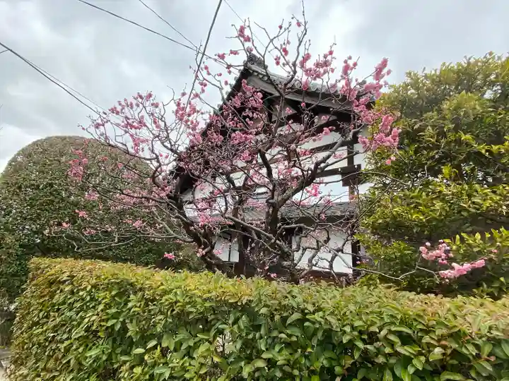 本寿寺(京都府)