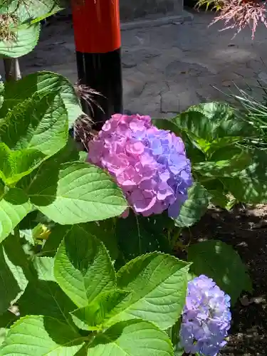 尼崎えびす神社の自然
