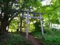 秋葉神社(神奈川県)