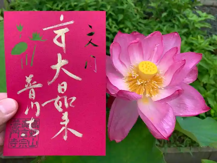 普門寺(切り絵御朱印発祥の寺)の御朱印