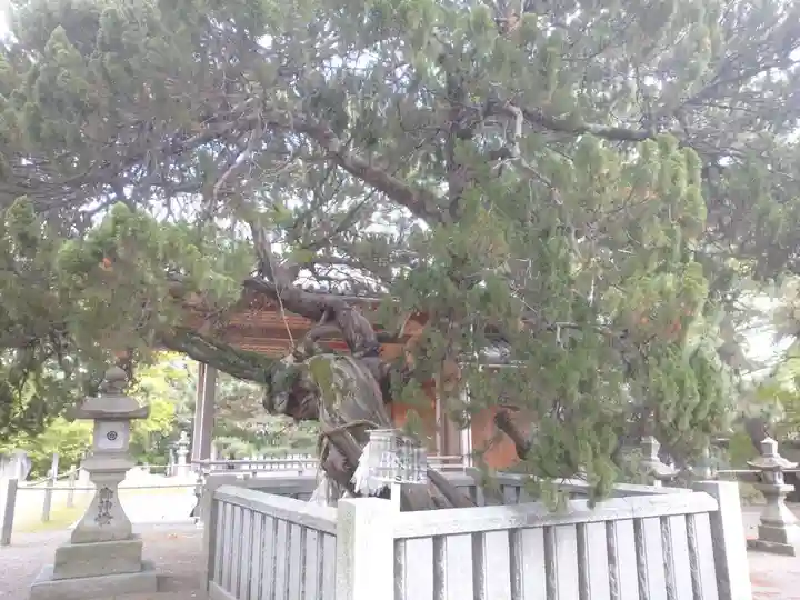 高砂神社の自然