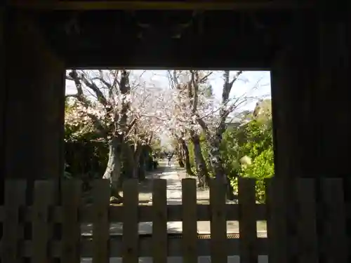 極楽寺（霊鷲山感應院極楽律寺）の景色