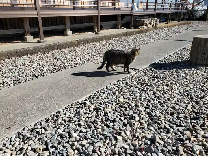 唐澤山神社(栃木県)