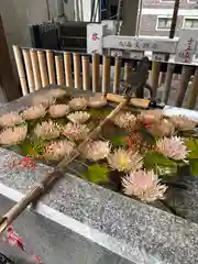 高円寺氷川神社(東京都)