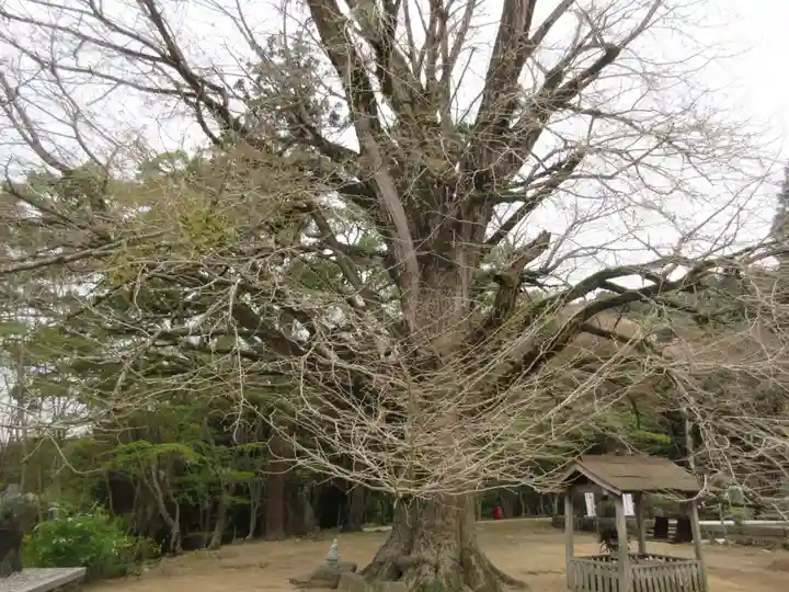 大山寺(徳島県)